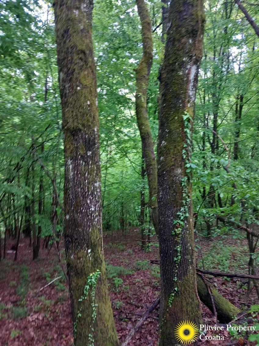 viber_slika_2024-12-30_11-21-27-090