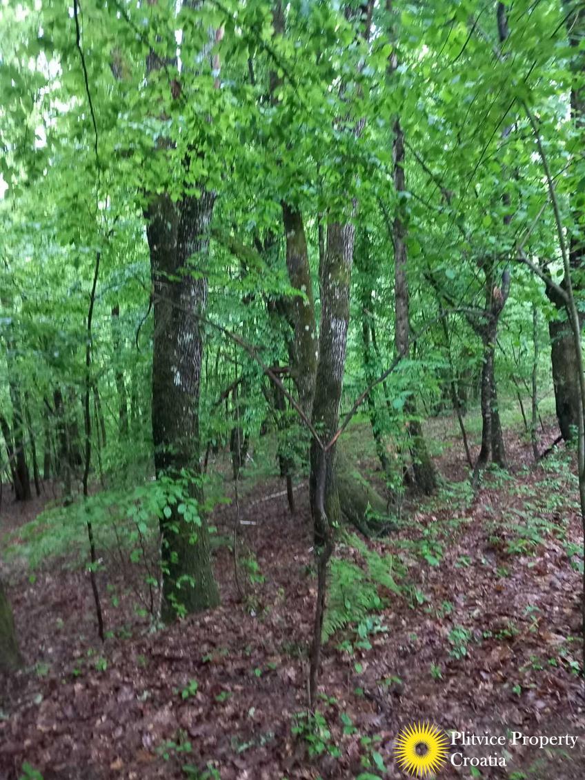 viber_slika_2024-12-30_11-21-27-188