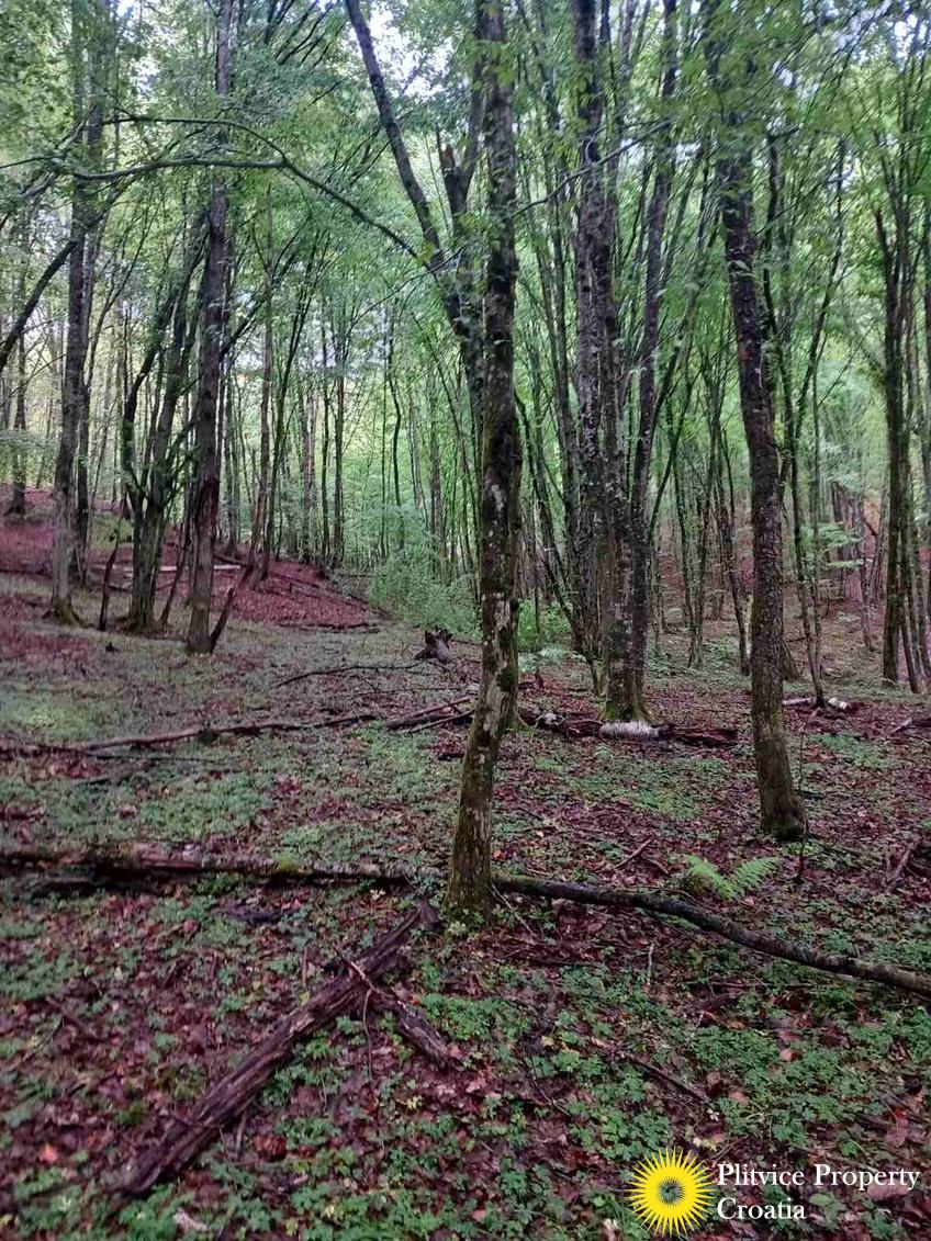 viber_slika_2024-12-30_11-21-27-281