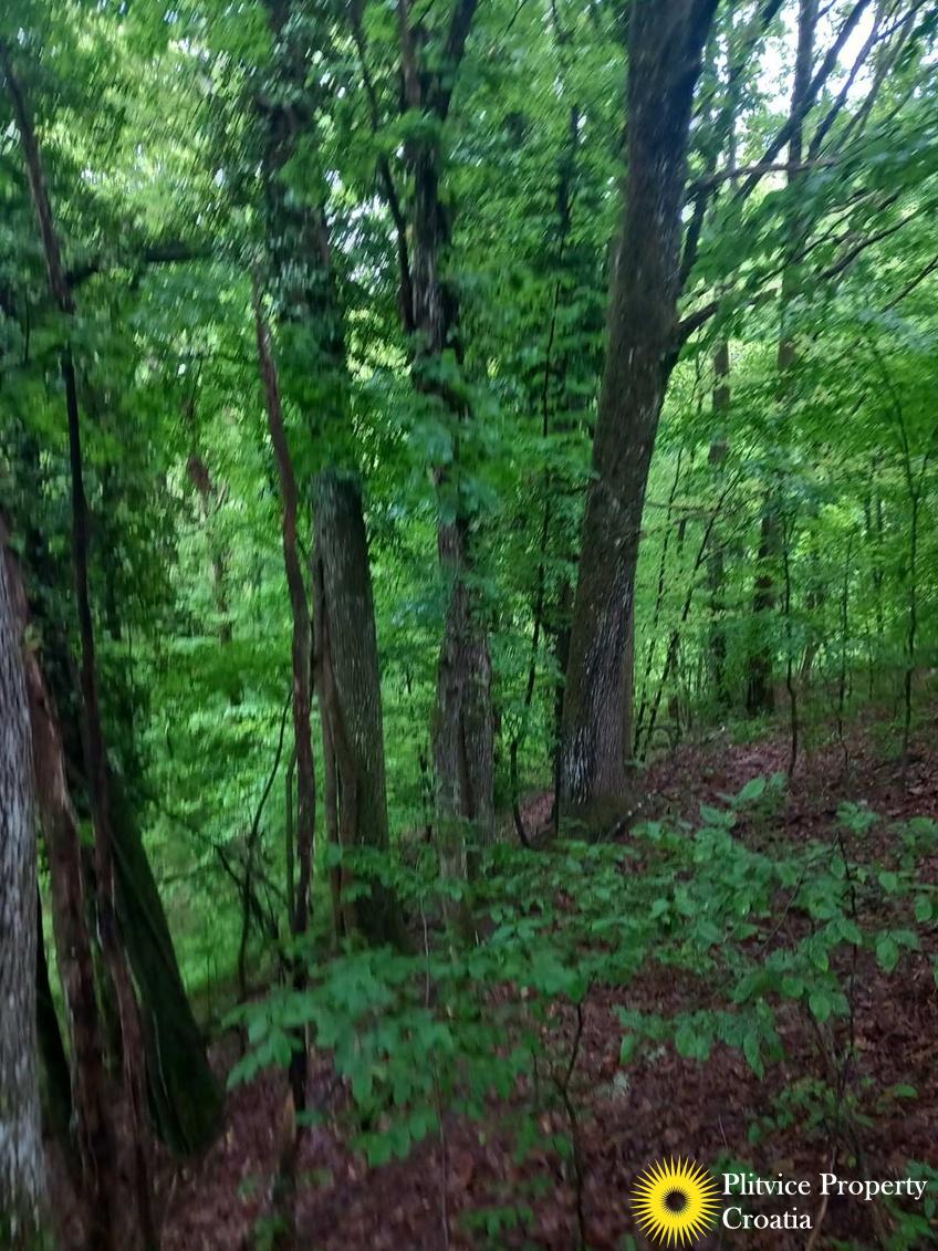 viber_slika_2025-01-02_08-29-03-699