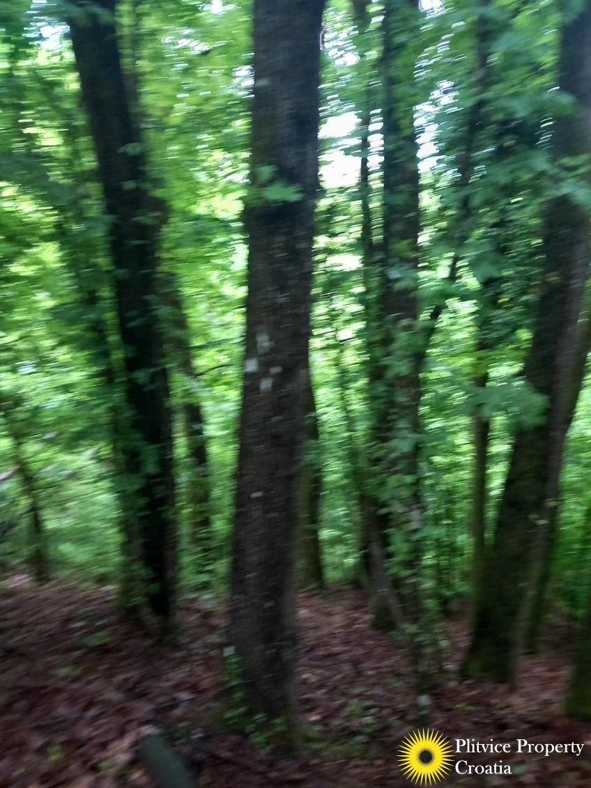 viber_slika_2025-01-02_08-29-03-819