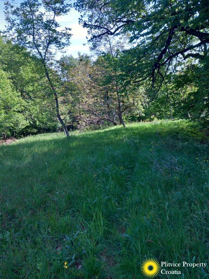 viber_slika_2025-05-25_10-08-54-782