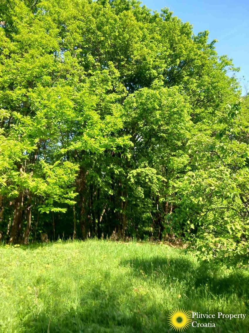 viber_slika_2025-05-25_10-08-54-899