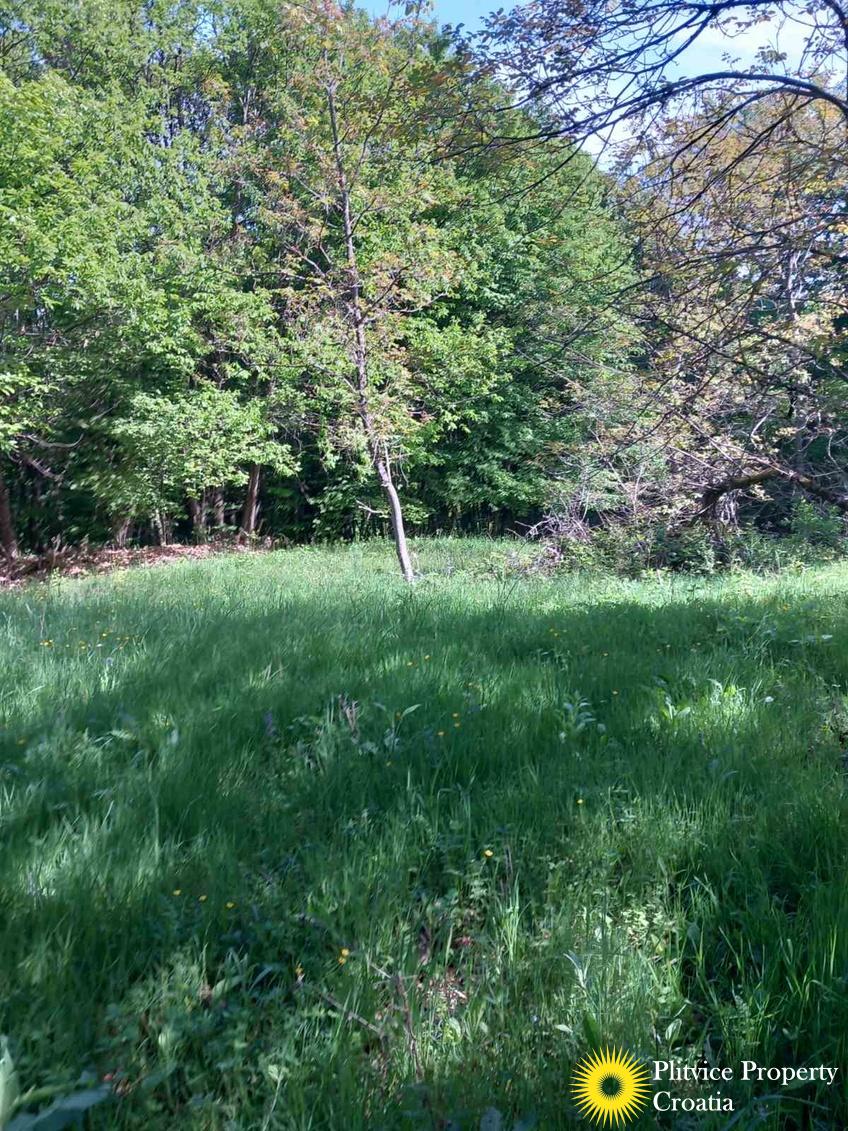 viber_slika_2025-05-25_10-08-55-012