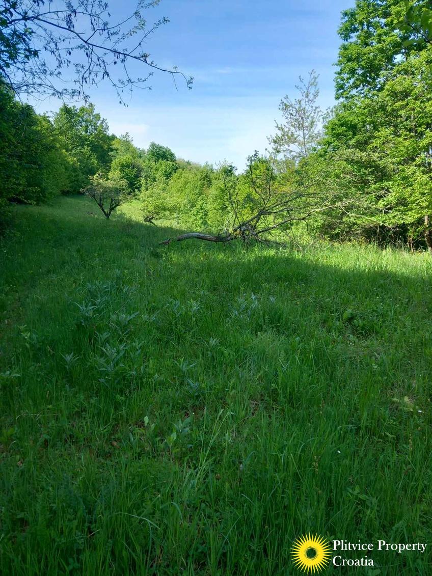 viber_slika_2025-05-25_10-08-55-078