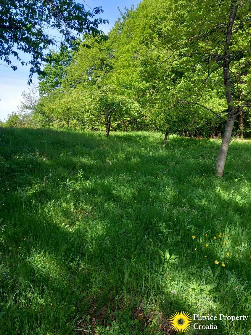 viber_slika_2025-05-25_10-08-55-138