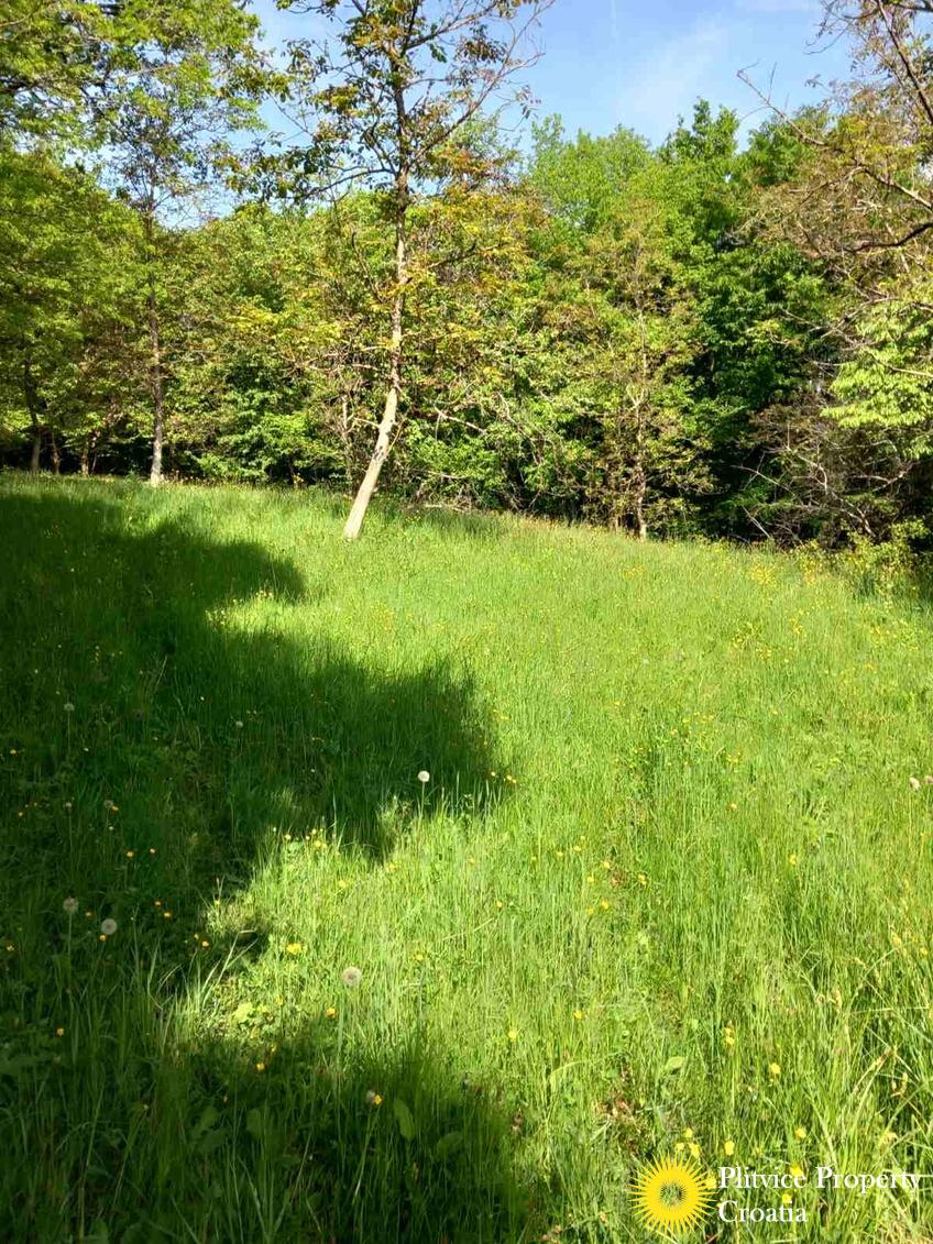 viber_slika_2025-05-25_10-08-56-720