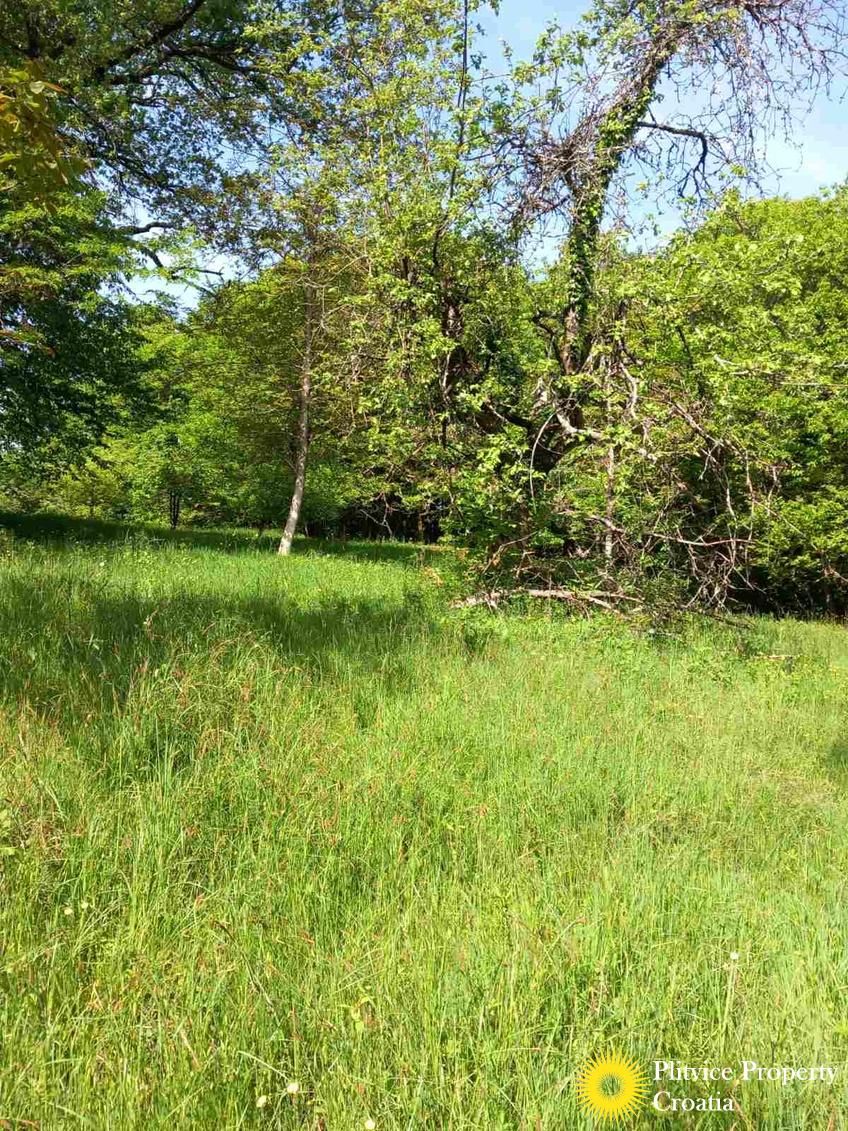 viber_slika_2025-05-25_10-08-56-782