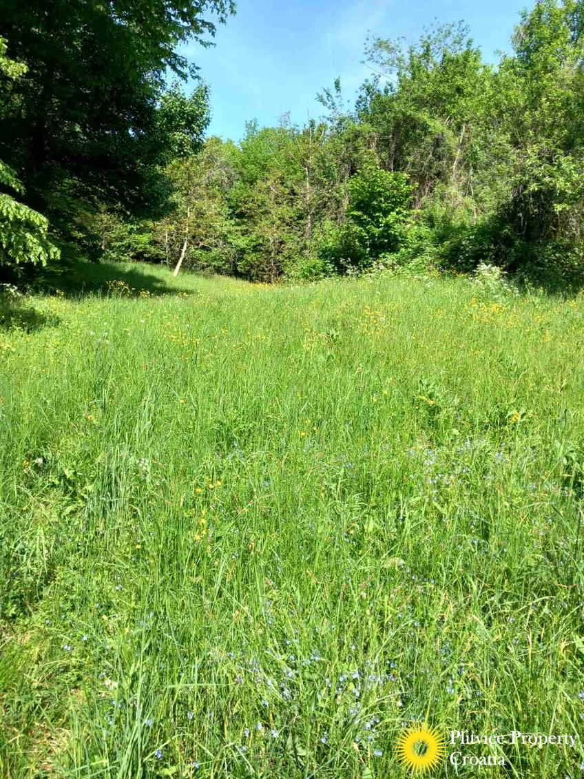 viber_slika_2025-05-25_10-08-56-846