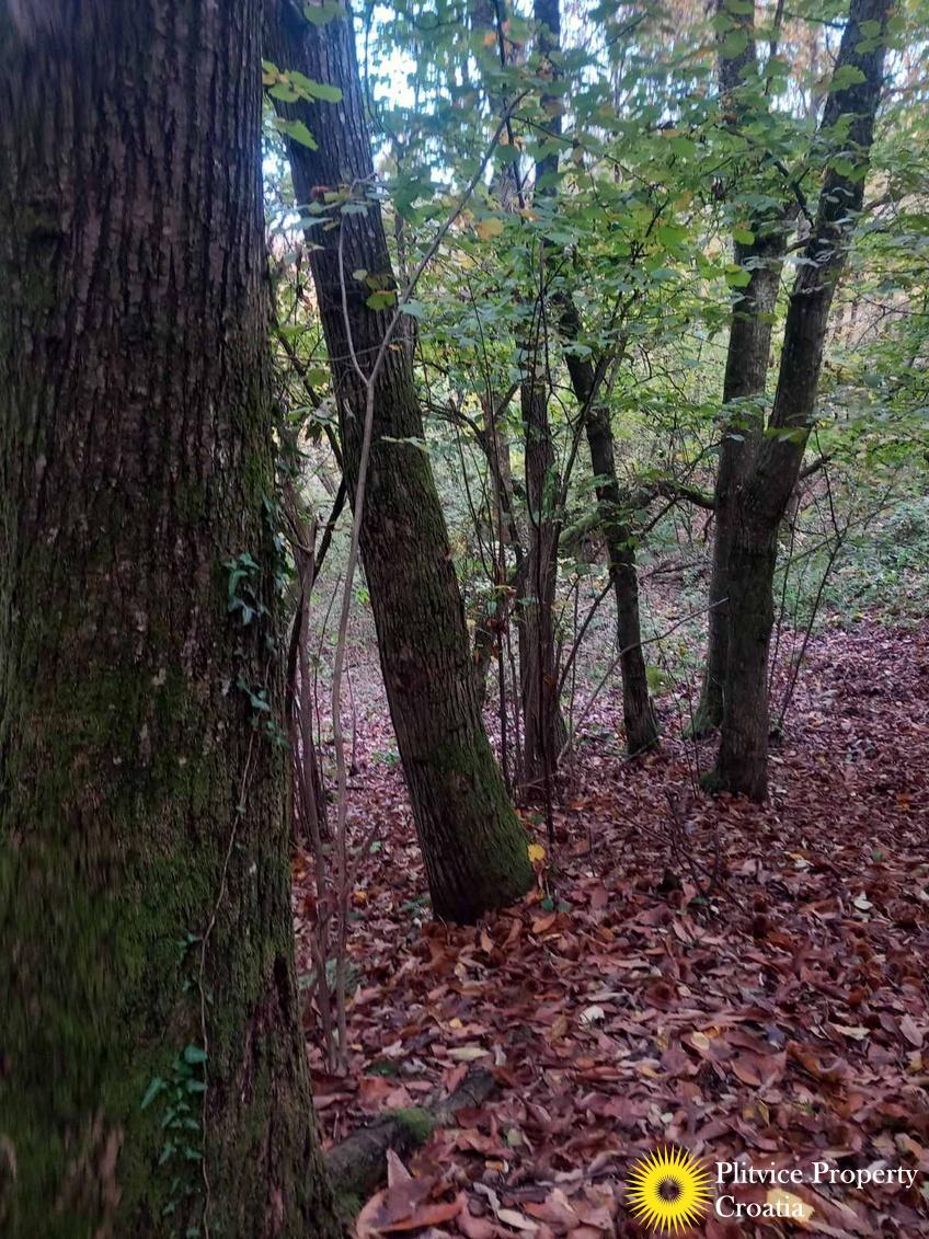 viber_slika_2025-10-25_14-41-09-805