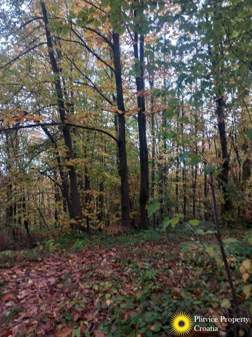 viber_slika_2025-10-25_14-41-10-615