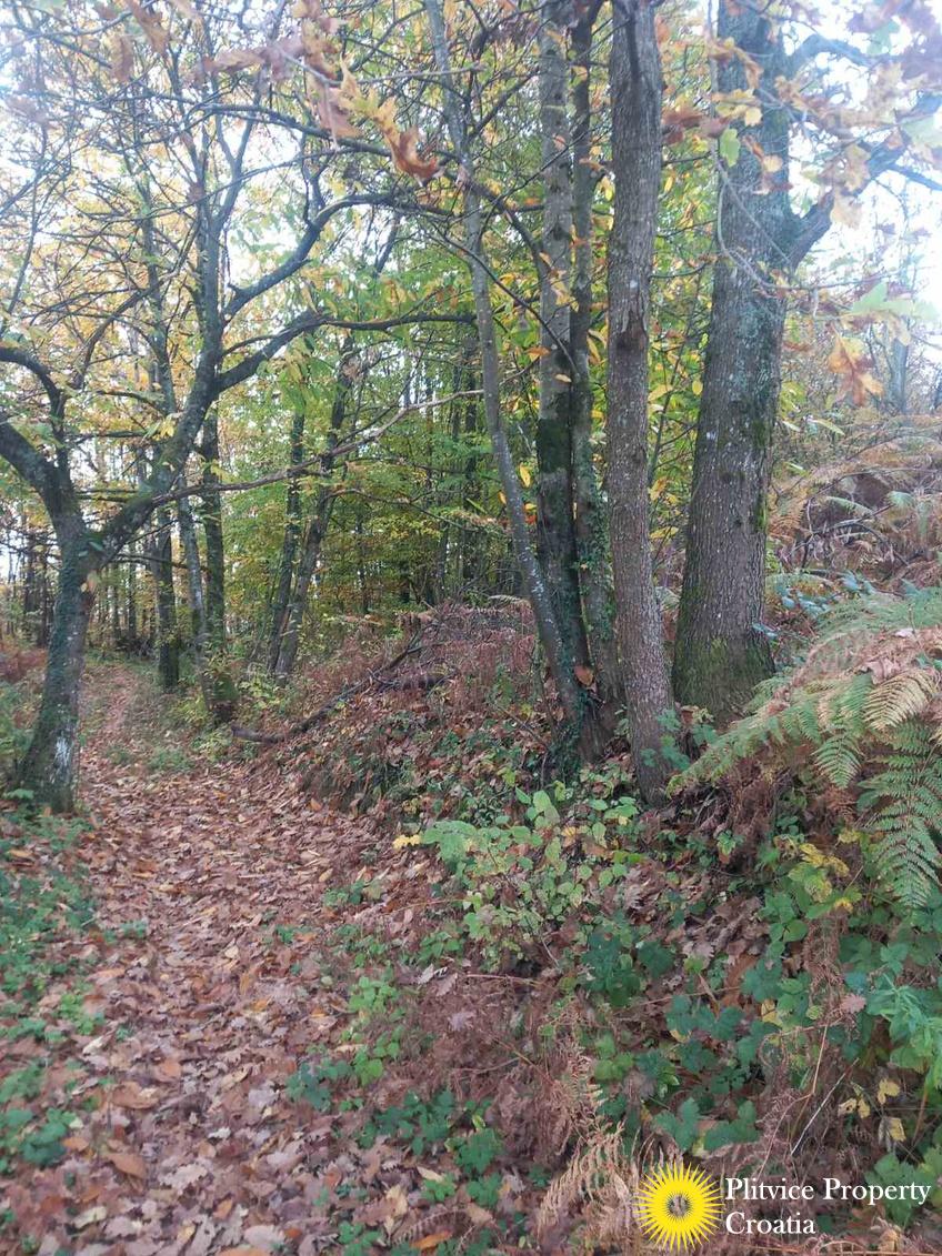 viber_slika_2025-10-25_14-41-11-236