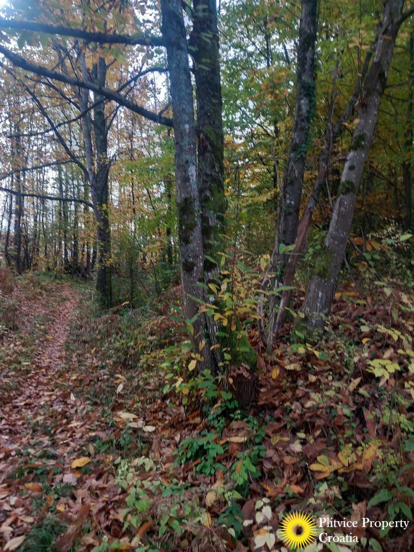 viber_slika_2025-10-25_14-41-11-698