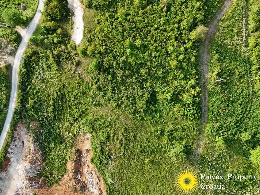 dji_fly_20250612_183742_0733_1749801577128_photo