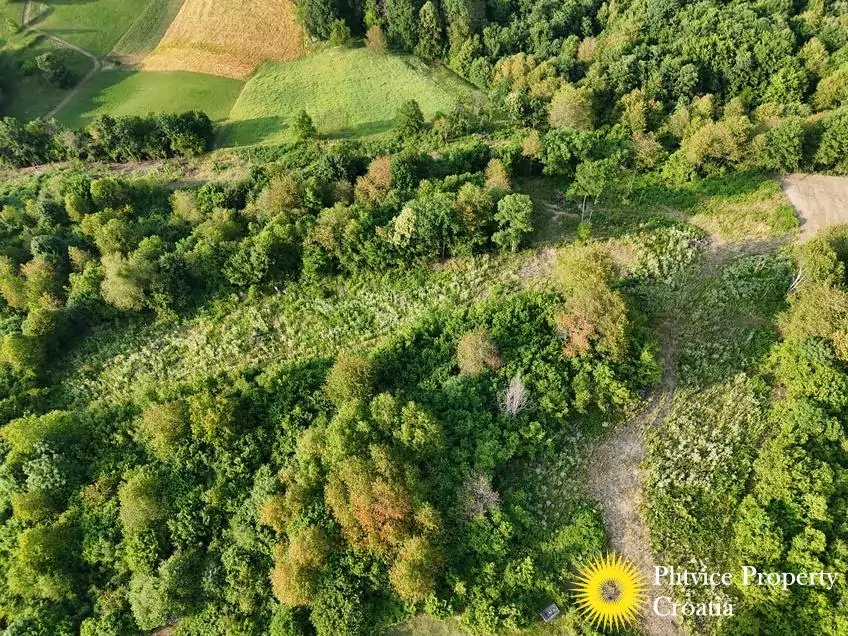 dji_fly_20250612_183806_0734_1749801576474_photo