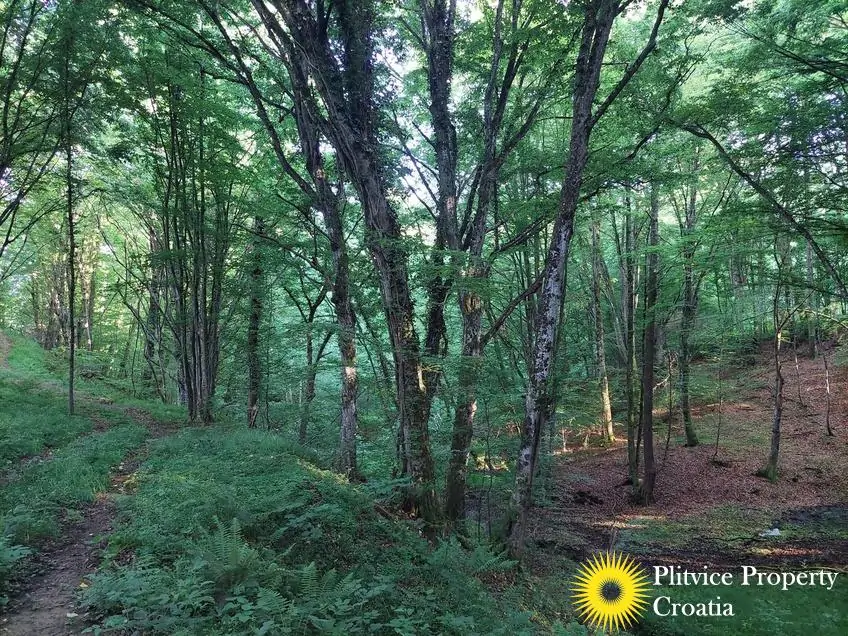 20240504_175854_1 (1)