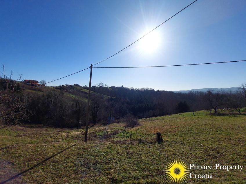 Flow_IMG_20250130_122017_01_588