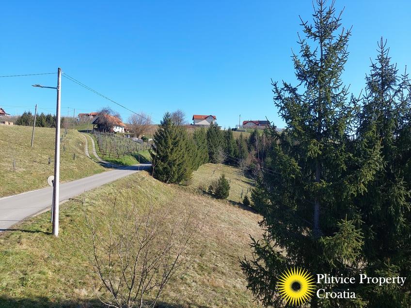 Flow_IMG_20250130_122559_01_609