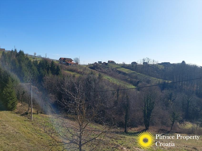 Flow_IMG_20250130_122613_01_610