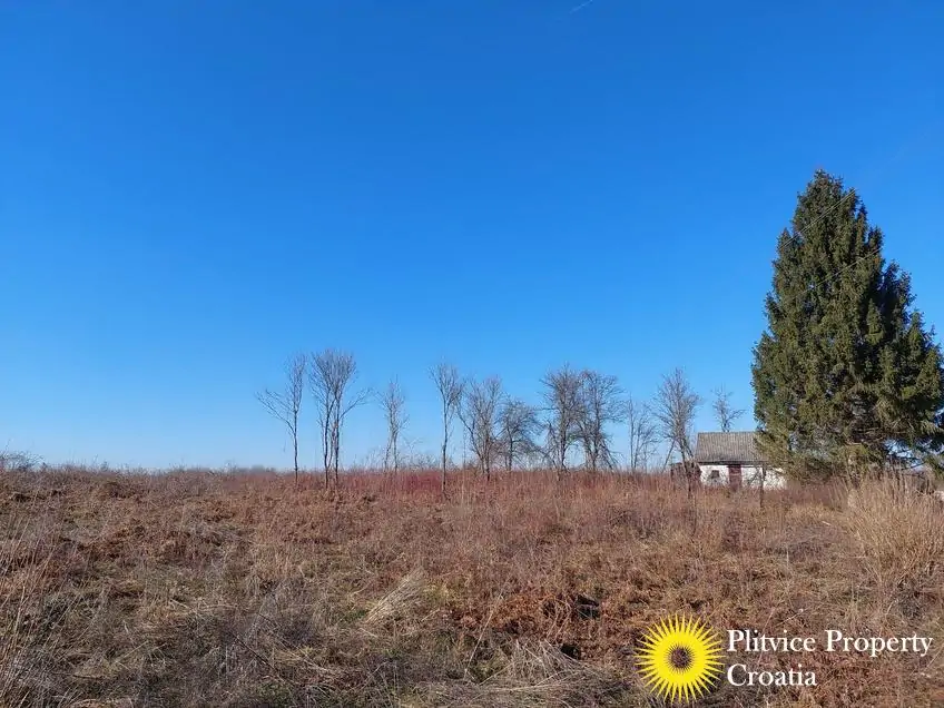 Flow_IMG_20250205_134113_01_657