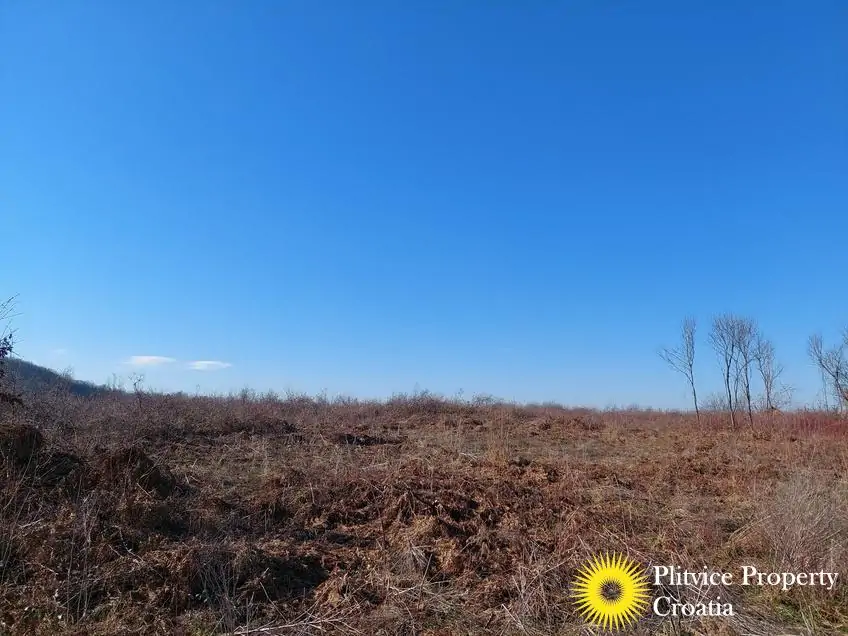 Flow_IMG_20250205_134125_01_658