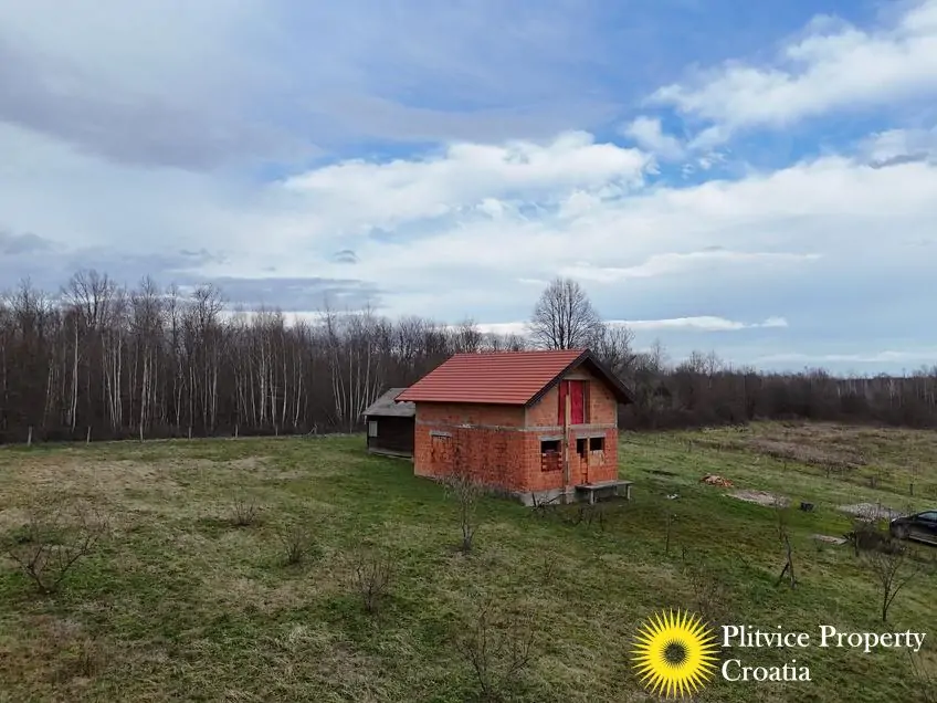 dji_fly_20250128_143948_0652_1738129110403_photo