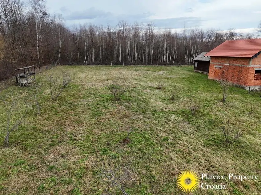 dji_fly_20250128_143954_0653_1738129110023_photo