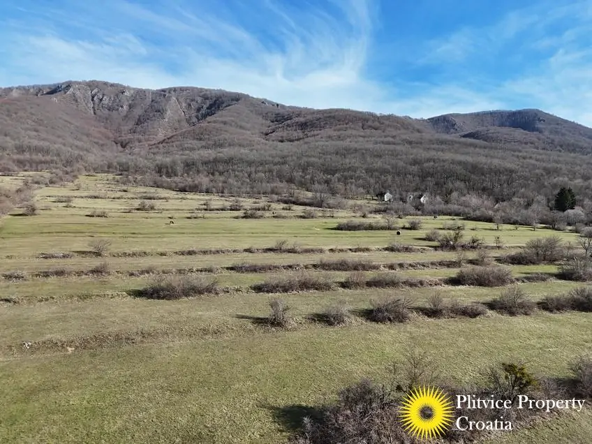 dji_fly_20250131_104606_0725_1738577120947_photo