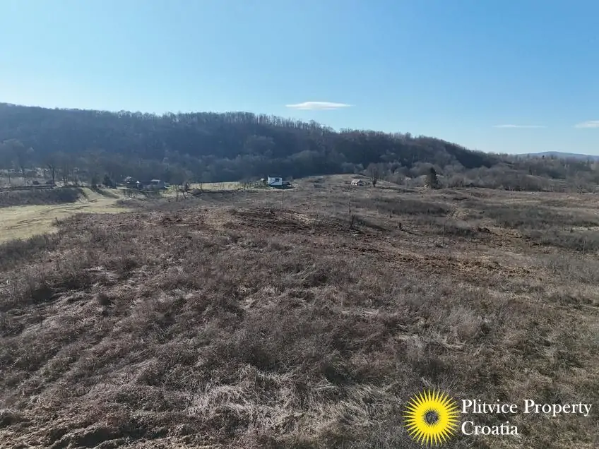 dji_fly_20250205_133406_0754_1738772303716_photo