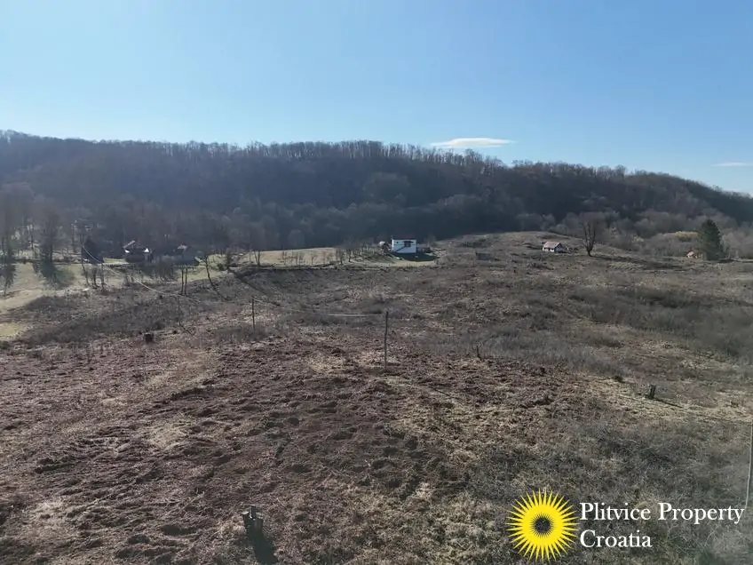 dji_fly_20250205_133440_0756_1738772302964_photo