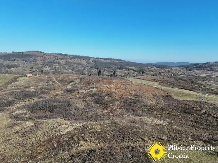 dji_fly_20250205_133524_0757_1738772302627_photo