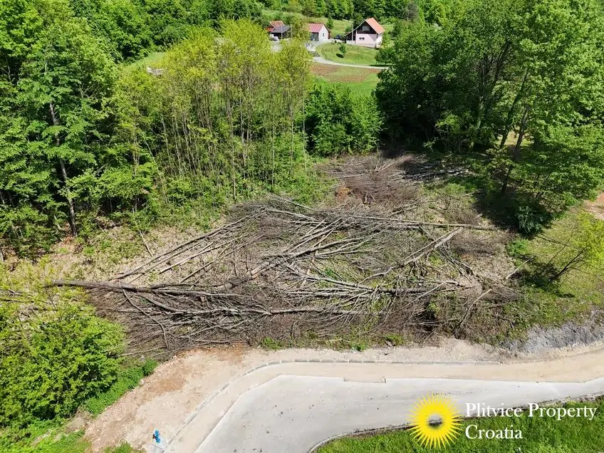 dji_fly_20250510_144144_0162_1746884336541_photo