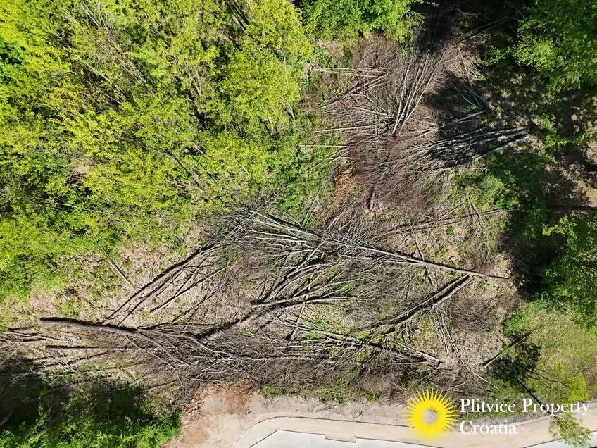 dji_fly_20250510_144200_0163_1746884335753_photo