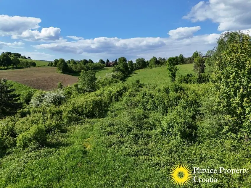 dji_fly_20250513_165124_0247_1747282889277_photo