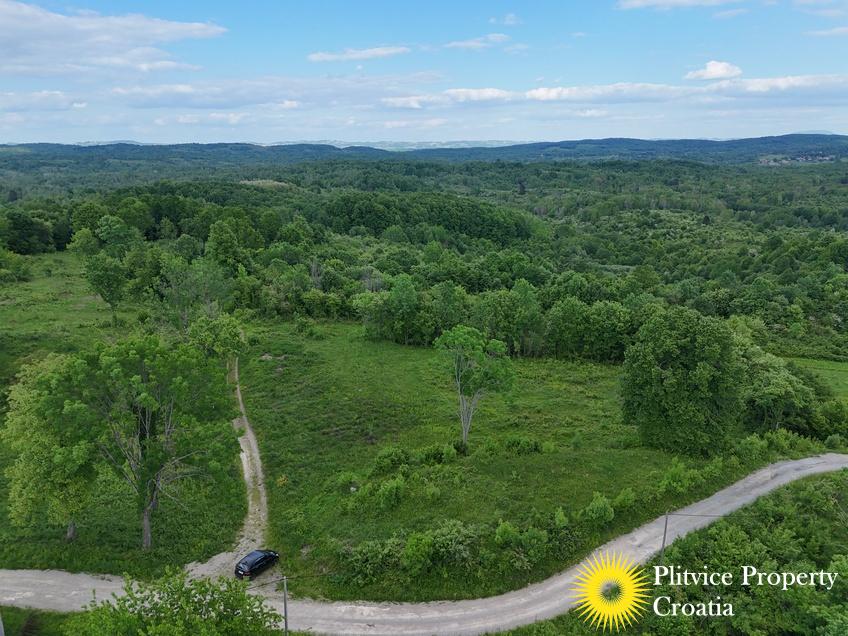 dji_fly_20250513_171038_0268_1747282876641_fotka