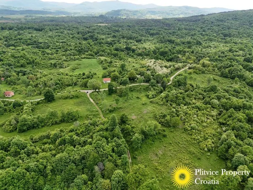 dji_fly_20250513_171150_0270_1747282875774_fotka