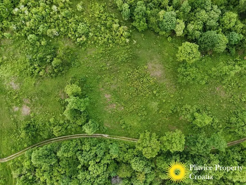 dji_fly_20250513_171210_0271_1747282875236_fotka