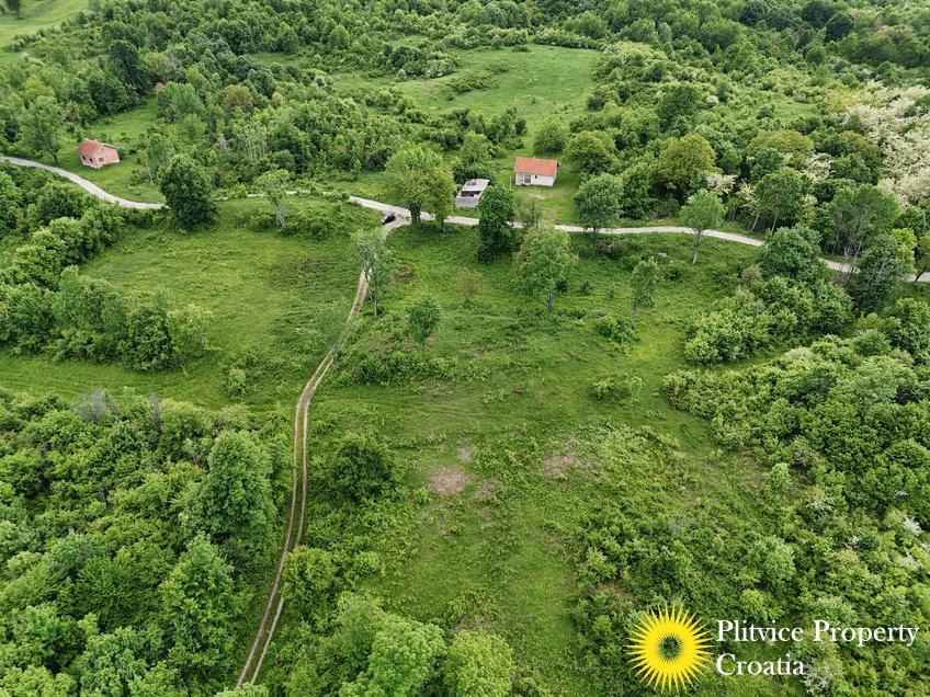 dji_fly_20250513_171246_0273_1747282874087_fotka