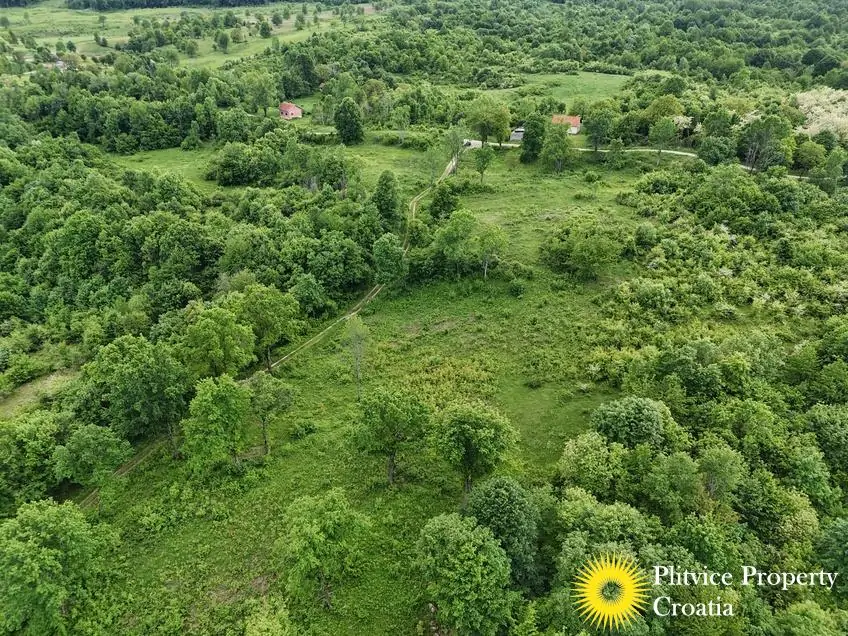 dji_fly_20250513_171258_0274_1747282873451_fotka