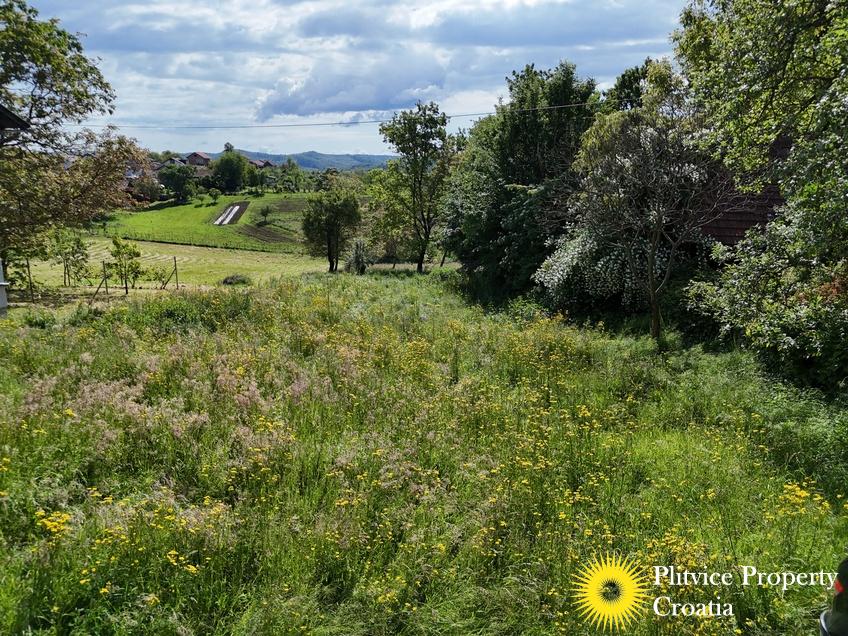 dji_fly_20250517_095910_0318_1747627922977_fotka