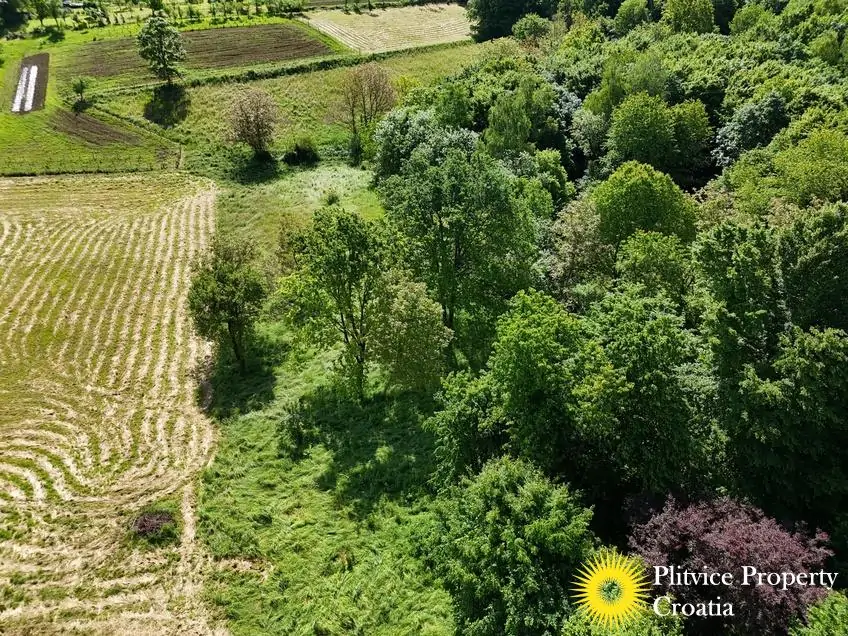 dji_fly_20250517_095938_0320_1747627921750_fotka