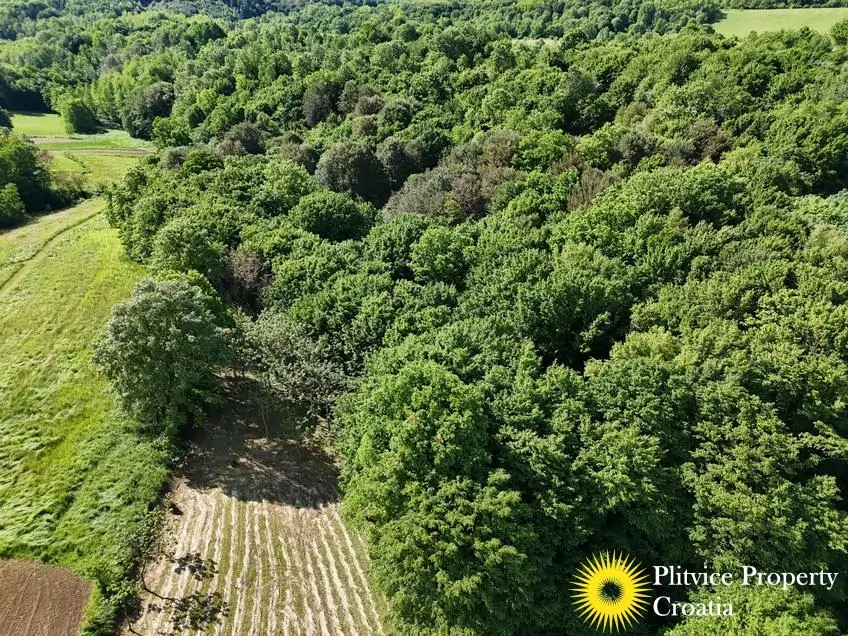 dji_fly_20250517_100000_0321_1747627921028_fotka