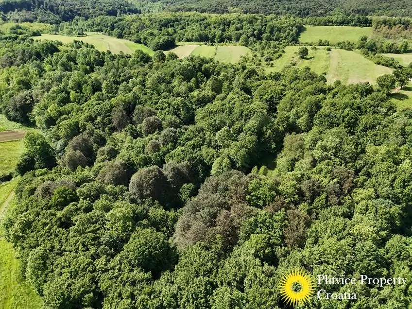 dji_fly_20250517_100030_0322_1747627920201_fotka