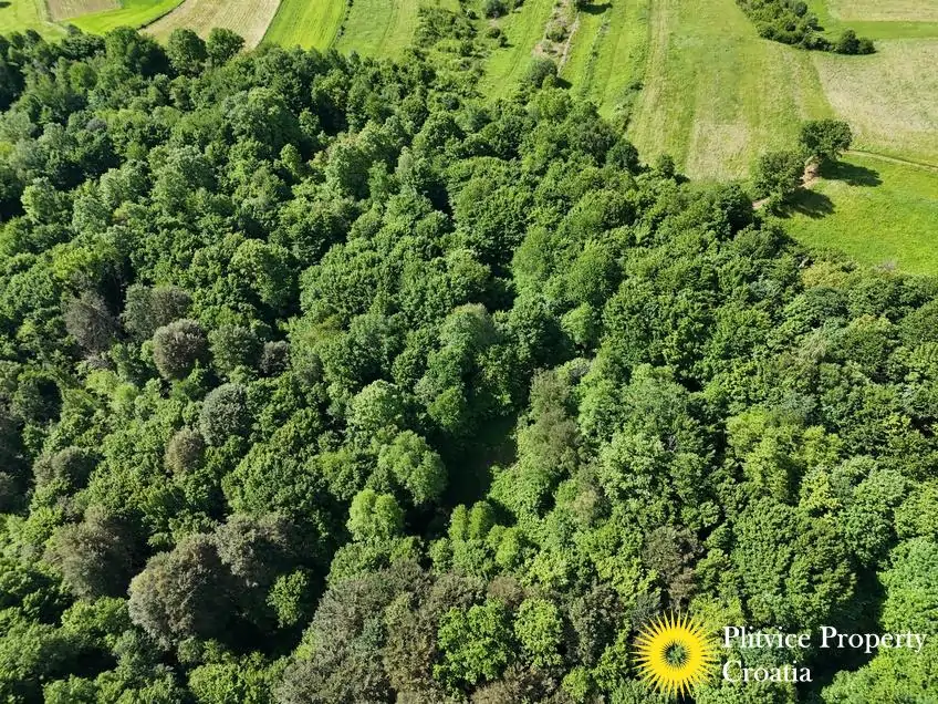 dji_fly_20250517_100104_0323_1747627919578_fotka