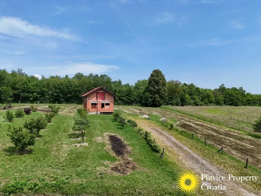 dji_fly_20250520_121044_0416_1747753502057_photo