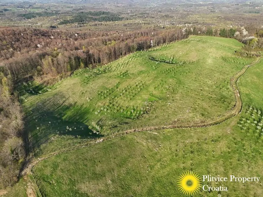 dji_fly_20250403_175220_0825_1743704721446_photo