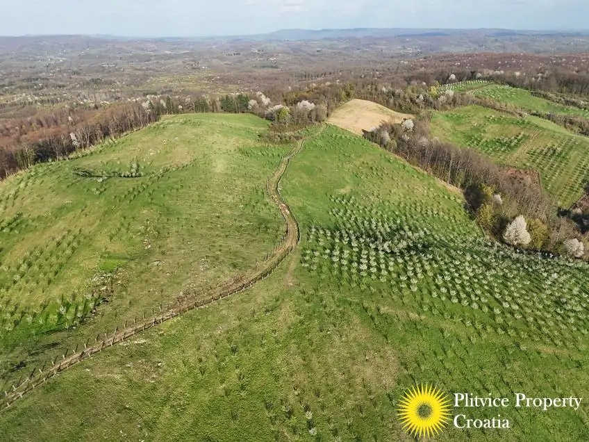 dji_fly_20250403_175300_0828_1743704720027_photo