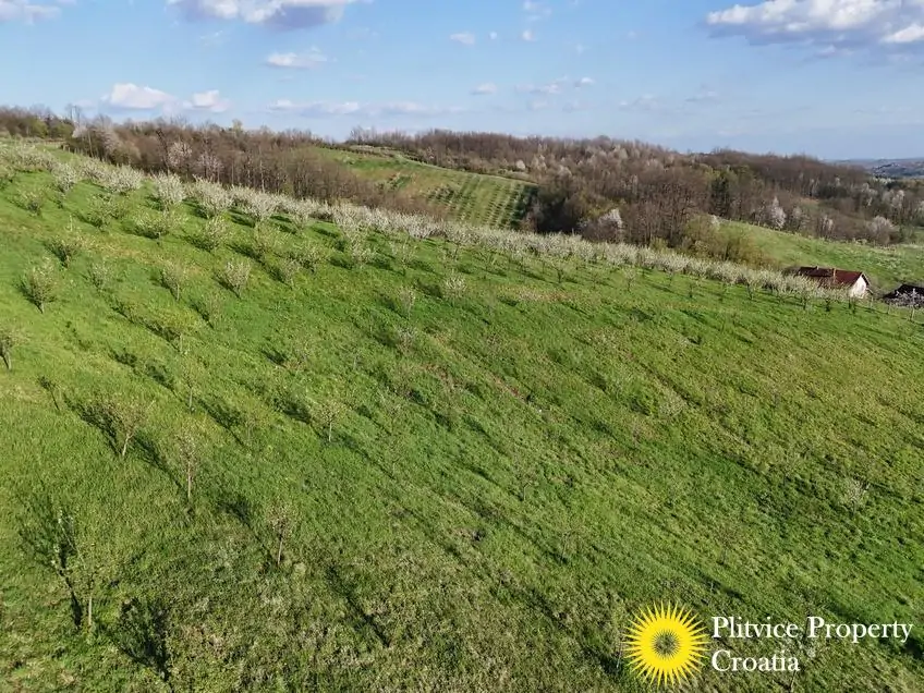 dji_fly_20250403_175328_0829_1743704719615_photo