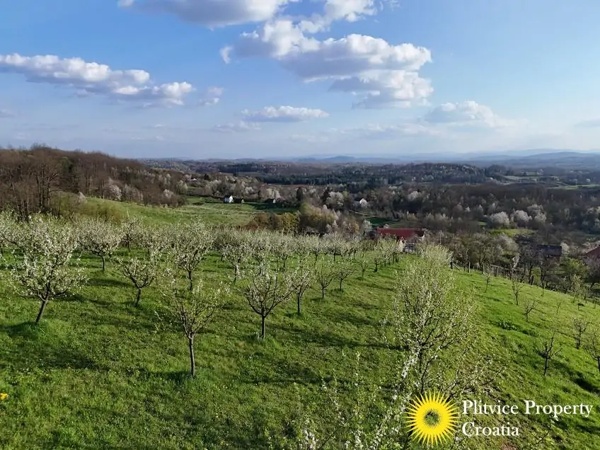 dji_fly_20250403_175350_0831_1743704718683_photo