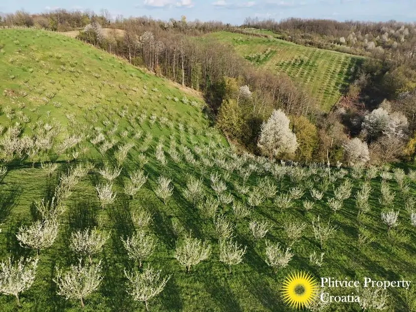 dji_fly_20250403_175408_0833_1743704717717_photo